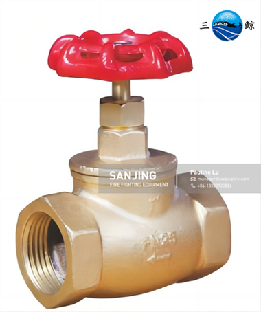 Bronze Globe Valve -8544034