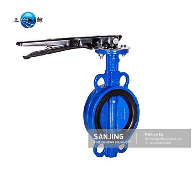 Ductile Cast Iron Npauj Npaim Valve